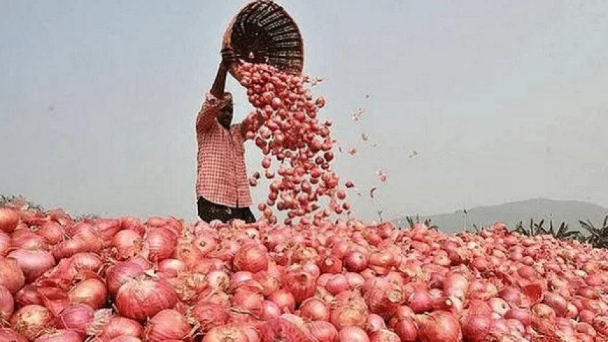 India will export onion in limited quantity to 6 countries of the world including Bangladesh