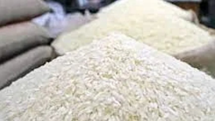 India is not increasing the 20 percent duty on rice exports, onion exports will also be stopped