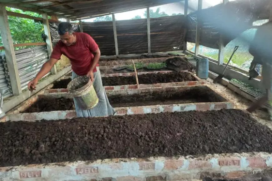 জৈব সার খামার থেকে আয় করুন পাঁচ লাখ টাকা