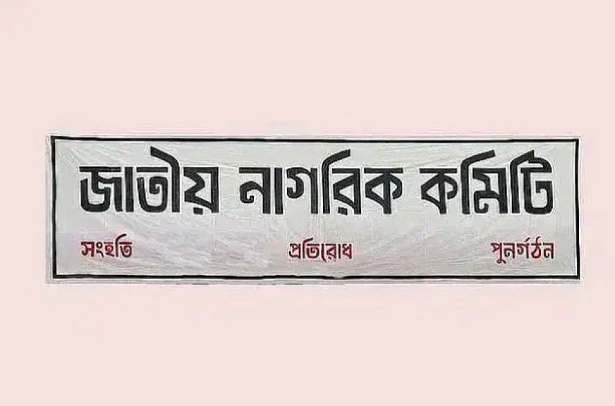 জাতীয় নাগরিক কমিটি: দেড় মাসে 100টি থানা ও জেলায় কমিটি