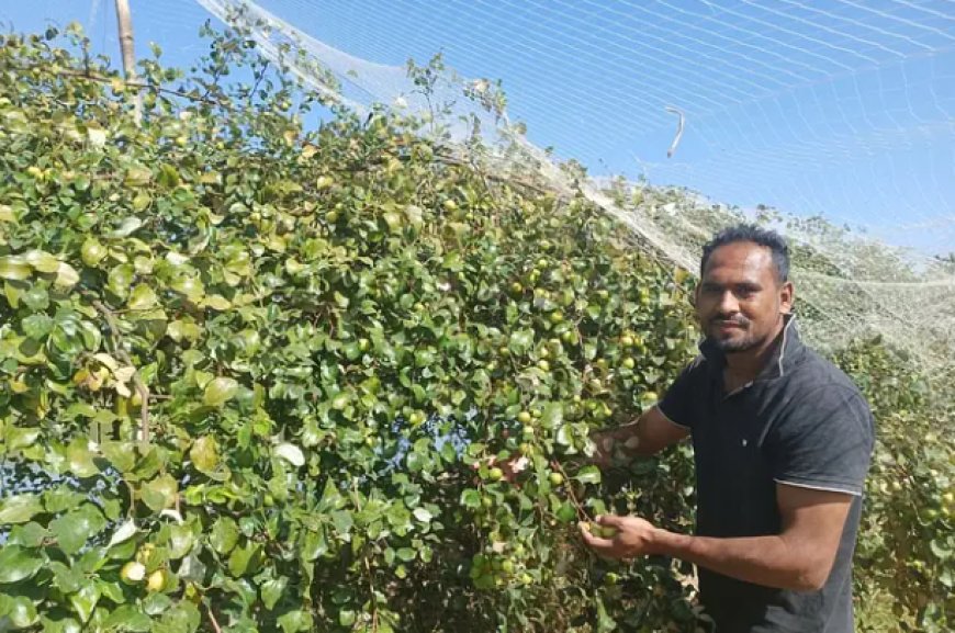 শখের বাগান থেকে মৌসুমি আয়: ৯ লাখ টাকা