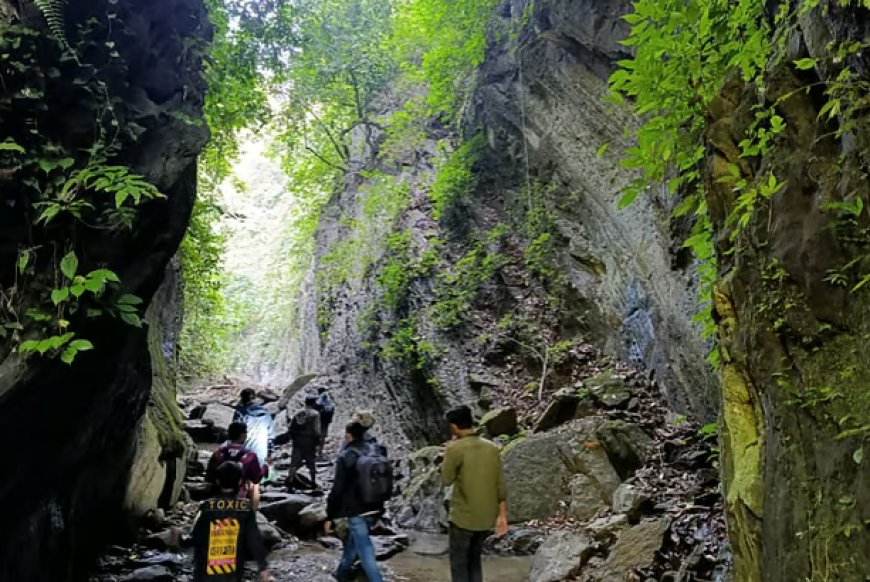 রোমাঞ্চকর পথে দীর্ঘ গুহা, ভেতরে বিরল বাদুড়