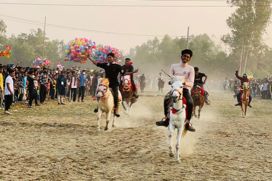 সুখছড়ি বিল ধরে ঘোড়াগুলো ছুটে চলেছে, ধুলো উড়িয়ে চলেছে