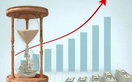 অর্থনীতির প্রধান শাখা দুইটি